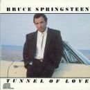 álbum Tunnel of Love de Bruce Springsteen