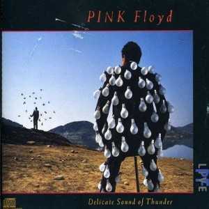 Disco Delicate sound of thunder de Pink Floyd