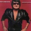 álbum Laminar Flow de Roy Orbison