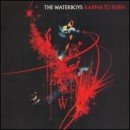 álbum Karma to Burn de The Waterboys