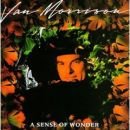 álbum A Sense of Wonder de Van Morrison